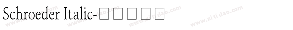 Schroeder Italic字体转换
